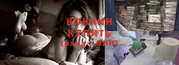 спайс Пересвет
