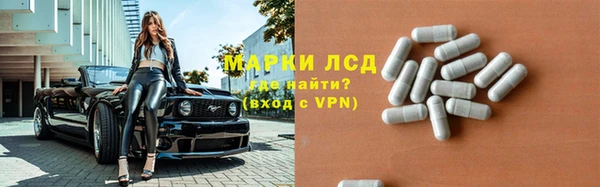 спайс Пересвет