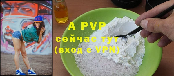 спайс Пересвет